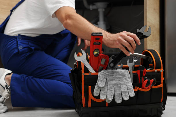 Best Plumbing Inspection Services  in Mammoth, AZ